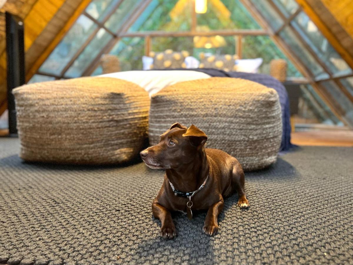 Hotel Bubblesky Glamping Guatapé Zewnętrze zdjęcie